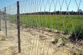 Плоское колючее-режущее ленточное заграждение (ПКЛЗ) «Акация» h=2,0м L=10
                    м